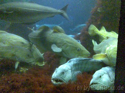 Bild049