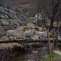 DSCF3589